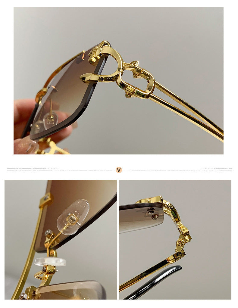 European and American cross-border double beam trim cheetah sunglasses men's wholesale personalized trendy sunglasses women's sunglasses